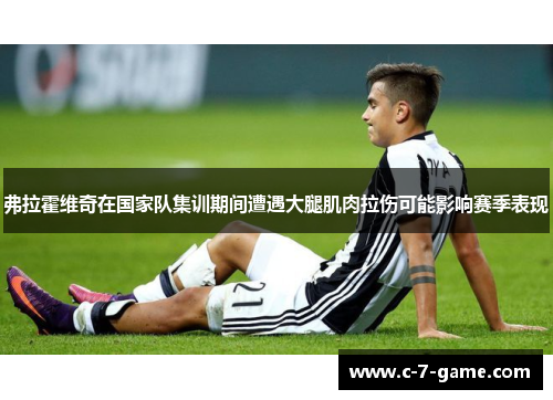 弗拉霍维奇在国家队集训期间遭遇大腿肌肉拉伤可能影响赛季表现