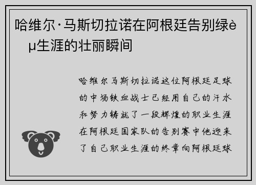 哈维尔·马斯切拉诺在阿根廷告别绿茵生涯的壮丽瞬间