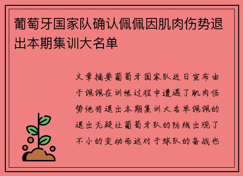 葡萄牙国家队确认佩佩因肌肉伤势退出本期集训大名单