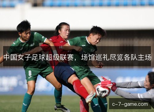 中国女子足球超级联赛，场馆巡礼尽览各队主场